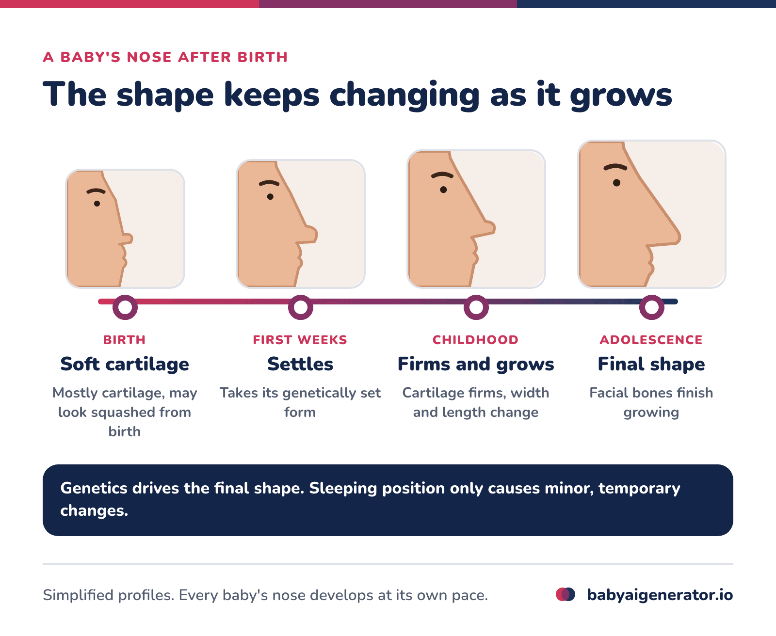 Infographic: a baby's nose after birth, from soft cartilage that may look compressed, to settling into its genetic shape in the first days and weeks, to cartilage firming through childhood and the final shape as facial bones grow in adolescence