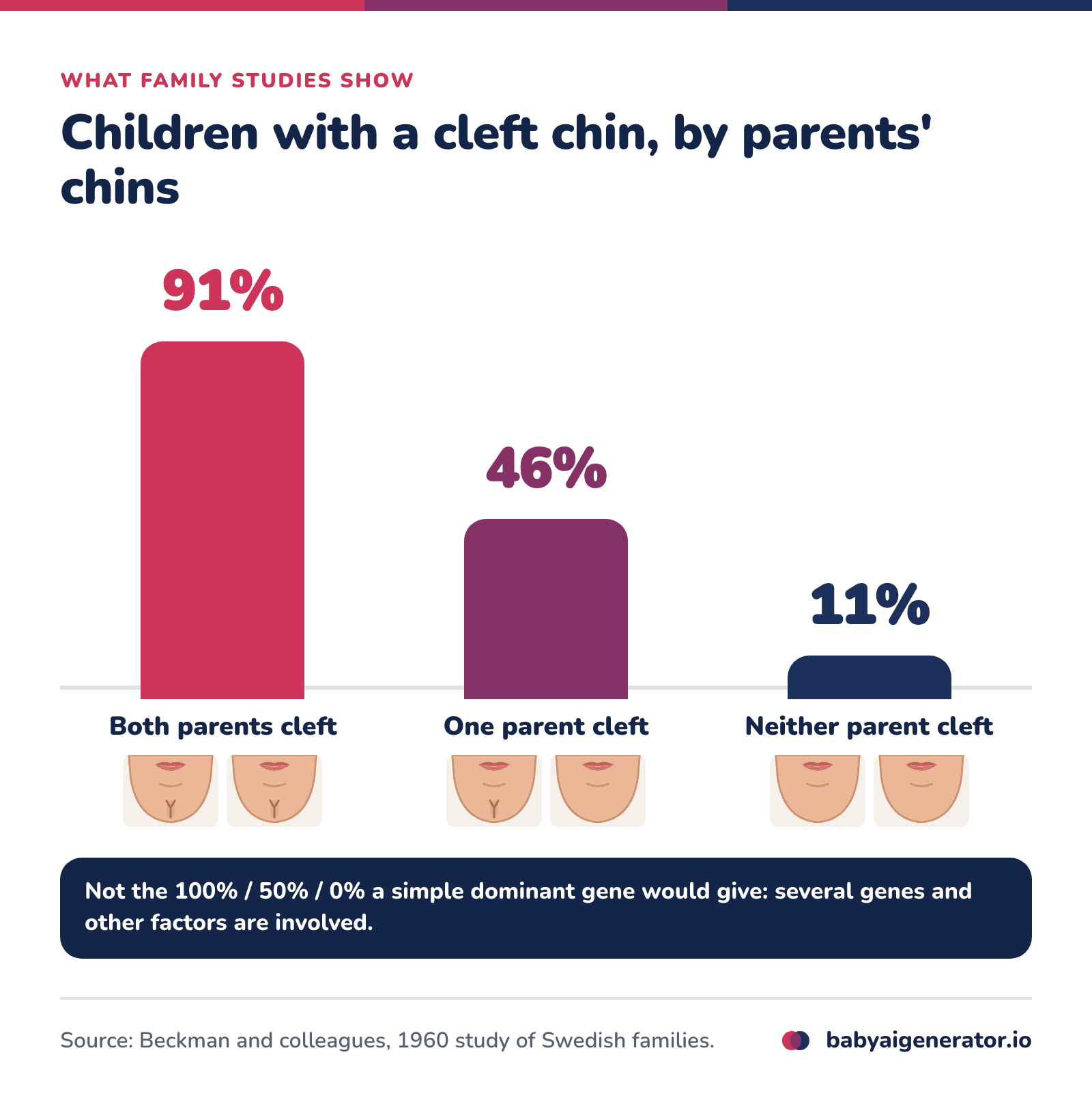 Infographic: in a 1960 study of Swedish families, about 91% of children had a cleft chin when both parents had one, 46% when one parent had one and 11% when neither parent did