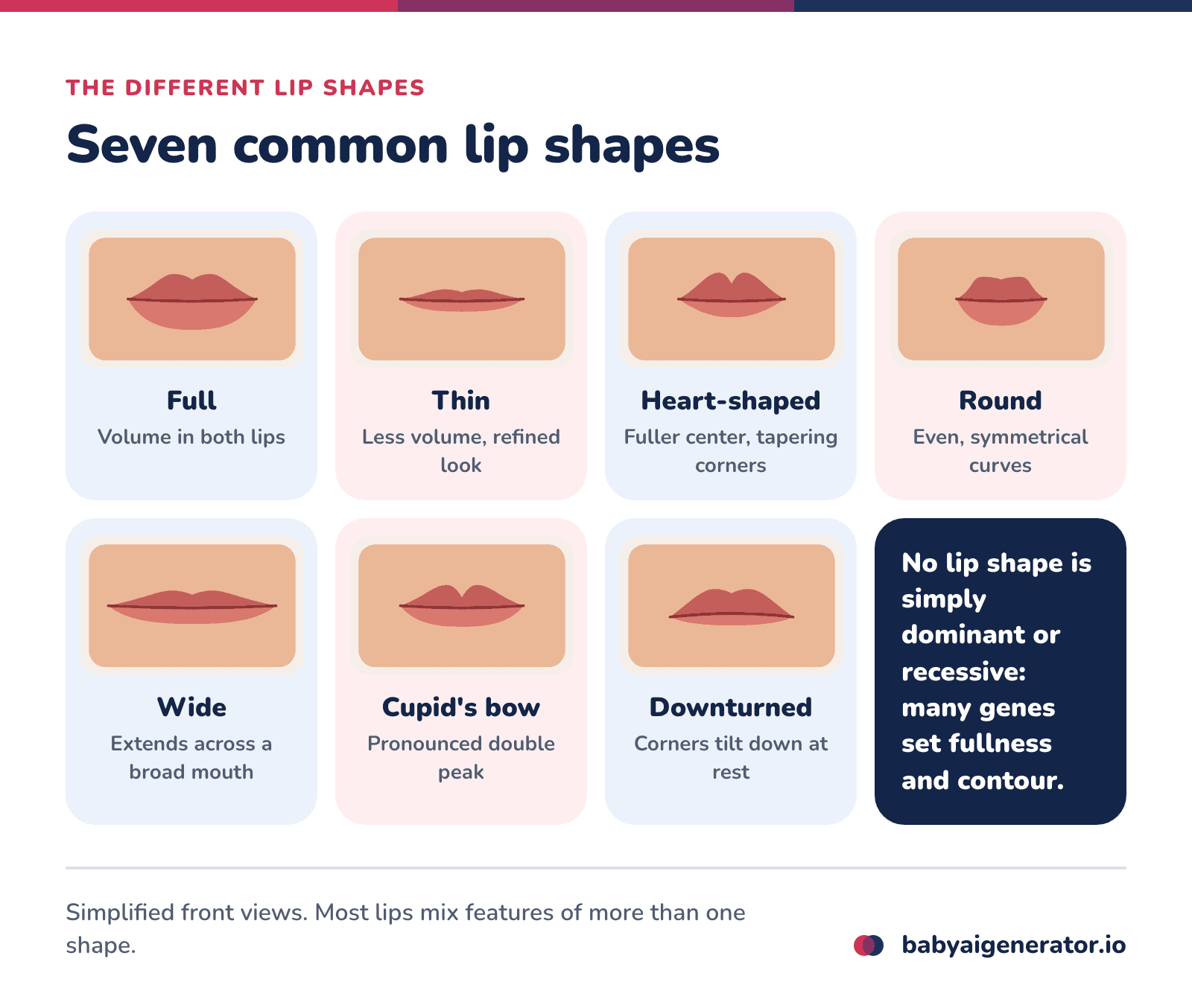 Infographic: drawings of seven lip shapes, full, thin, heart-shaped, round, wide, cupid's bow and downturned