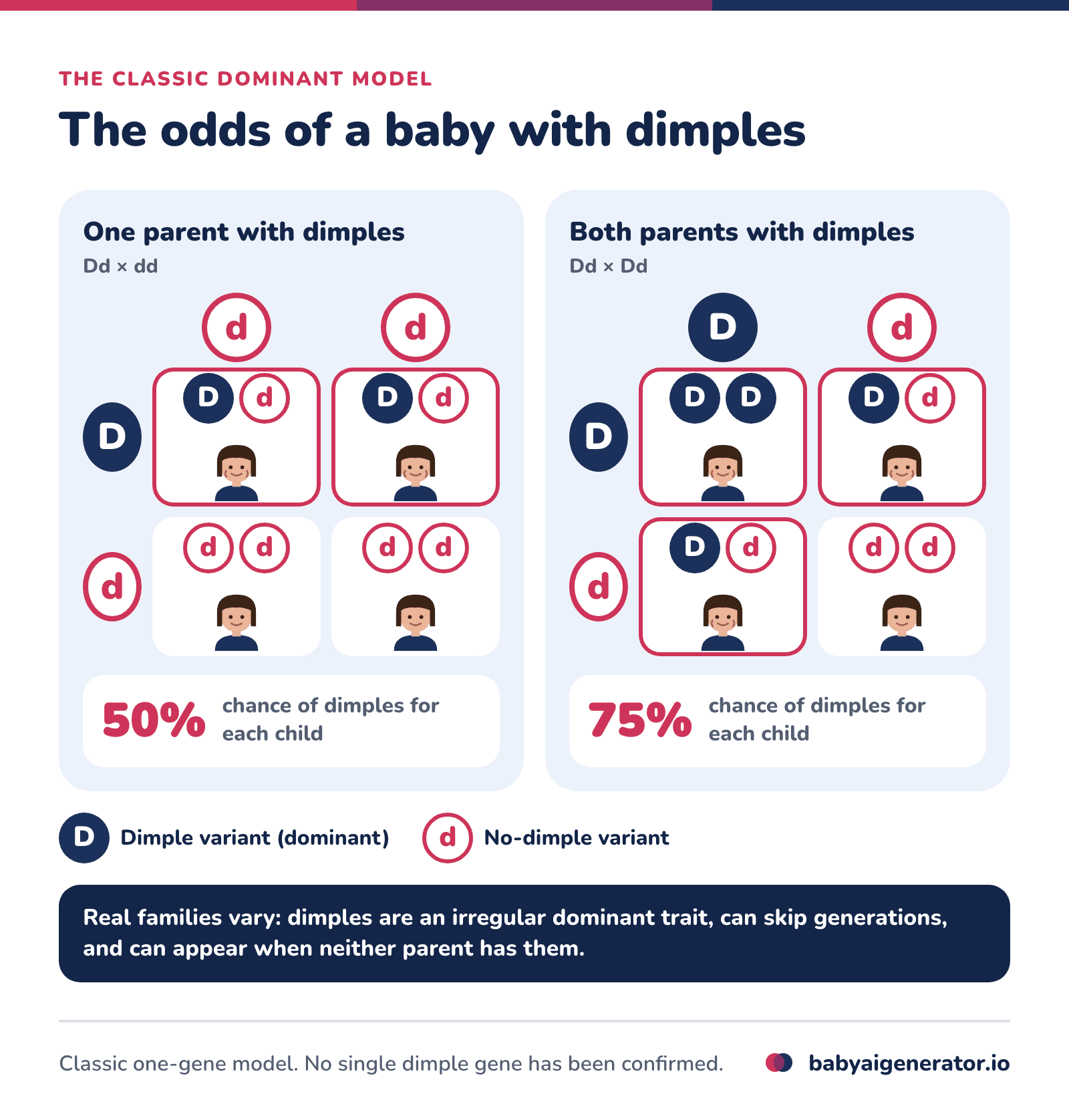 Infographic: in the classic dominant model, one parent with dimples (Dd × dd) gives each child a 50% chance of dimples and two parents with dimples (Dd × Dd) a 75% chance, though real families vary