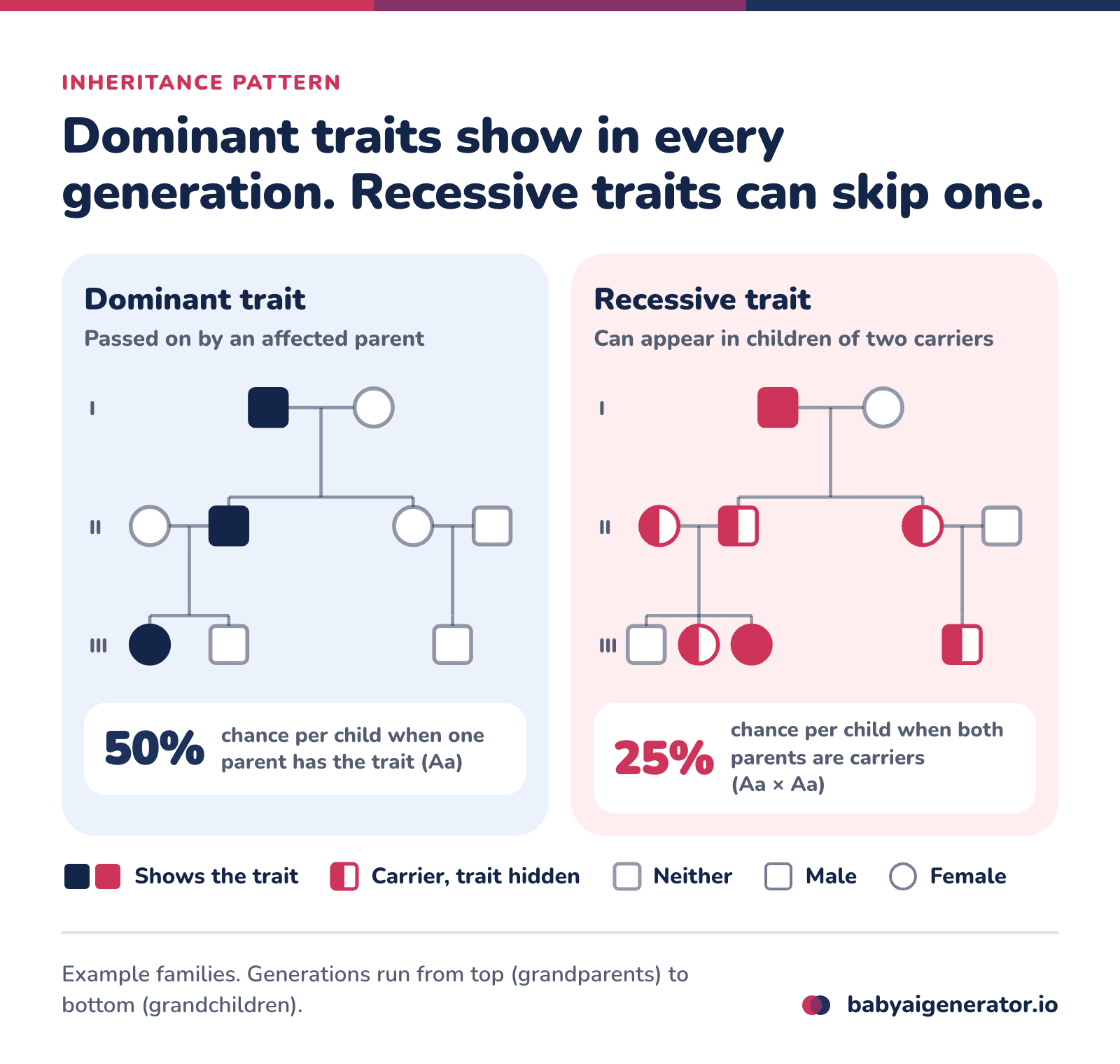 Infographic: family trees comparing a dominant trait, which shows in every generation with a 50% chance per child, and a recessive trait, which skips a generation and appears in 25% of children of two carriers