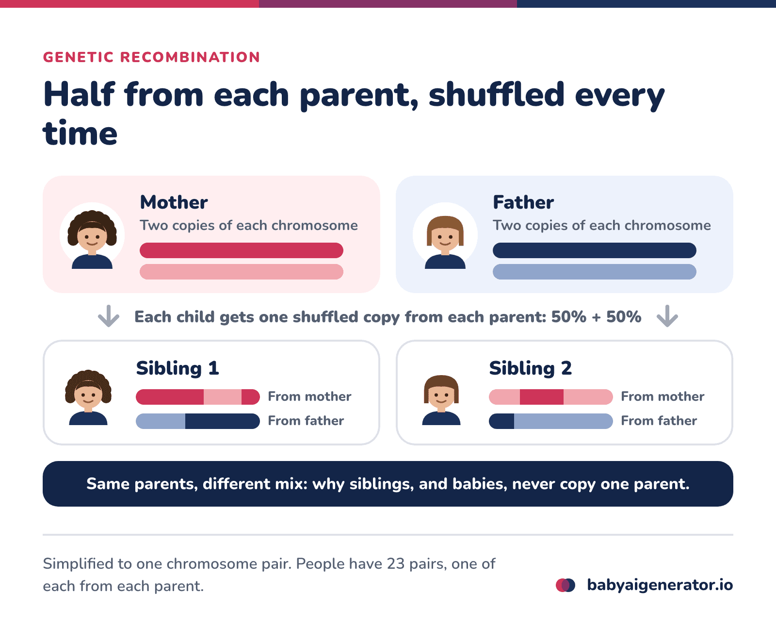 Infographic: each child gets half of its DNA from the mother and half from the father, but a different shuffled half each time, so two siblings receive different mixes