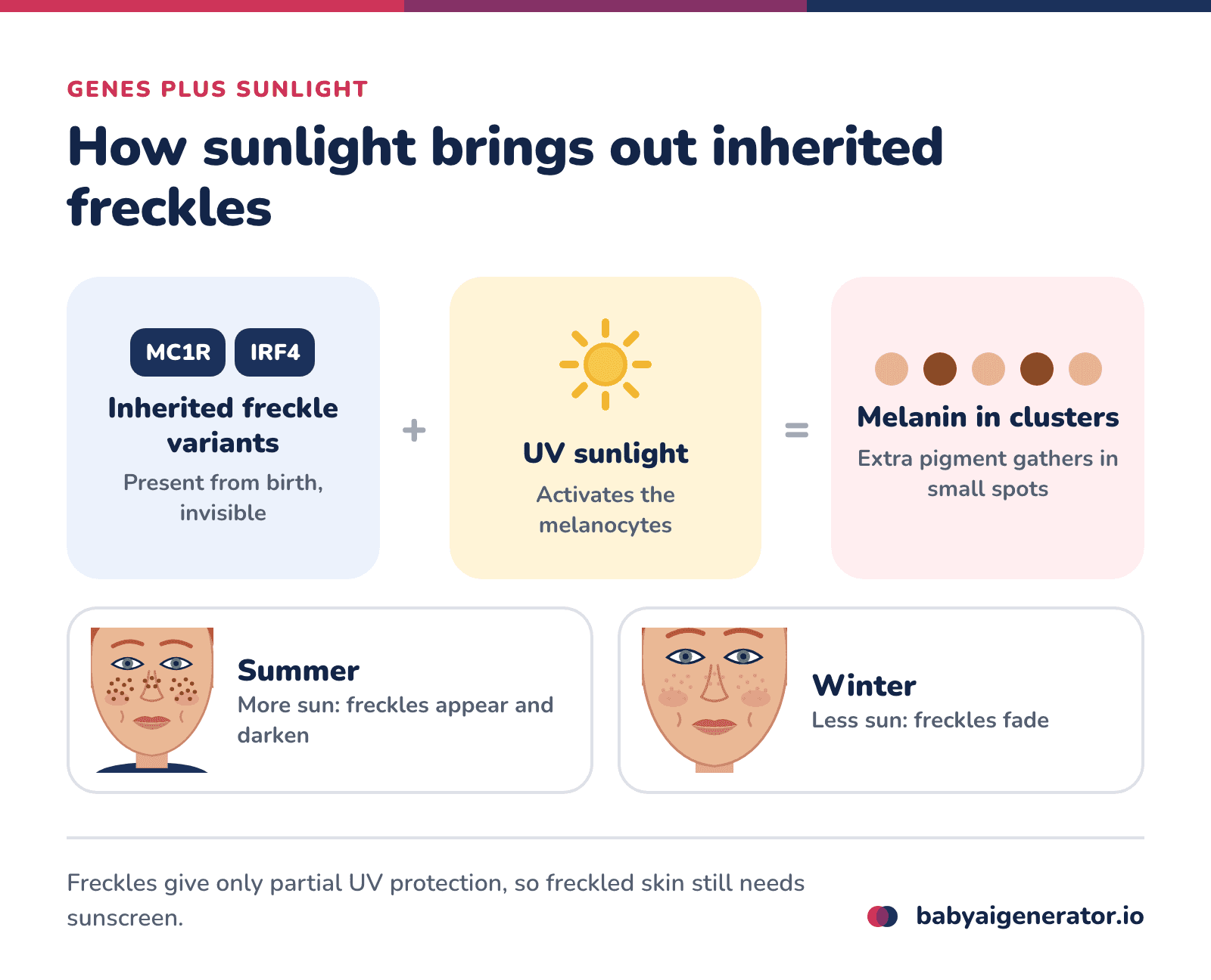 Infographic: inherited freckle genes plus UV sunlight make melanocytes produce extra melanin in clusters, so freckles darken in summer and fade in winter
