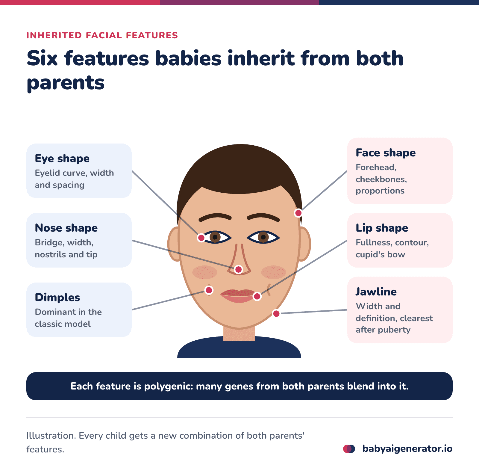 Infographic: a face map of the six features babies inherit from both parents, eye shape, nose shape, dimples, face shape, lip shape and jawline, each shaped by many genes