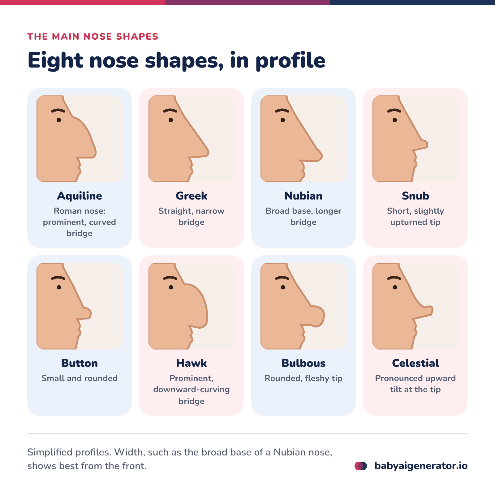 Infographic: side profiles of eight nose shapes, aquiline, Greek, Nubian, snub, button, hawk, bulbous and celestial