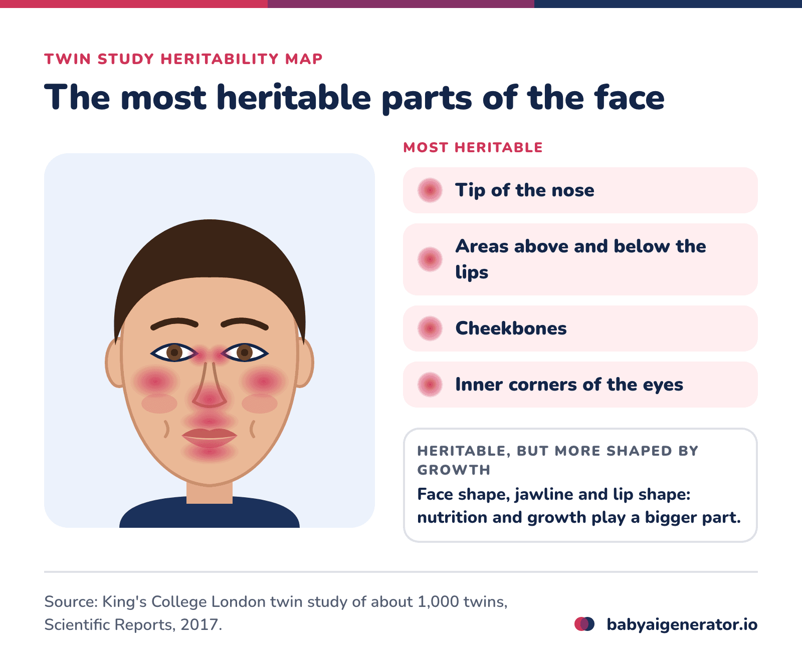 Infographic: a heritability map of the face, with the nose tip, the areas above and below the lips, the cheekbones and the inner eye corners as the most heritable regions