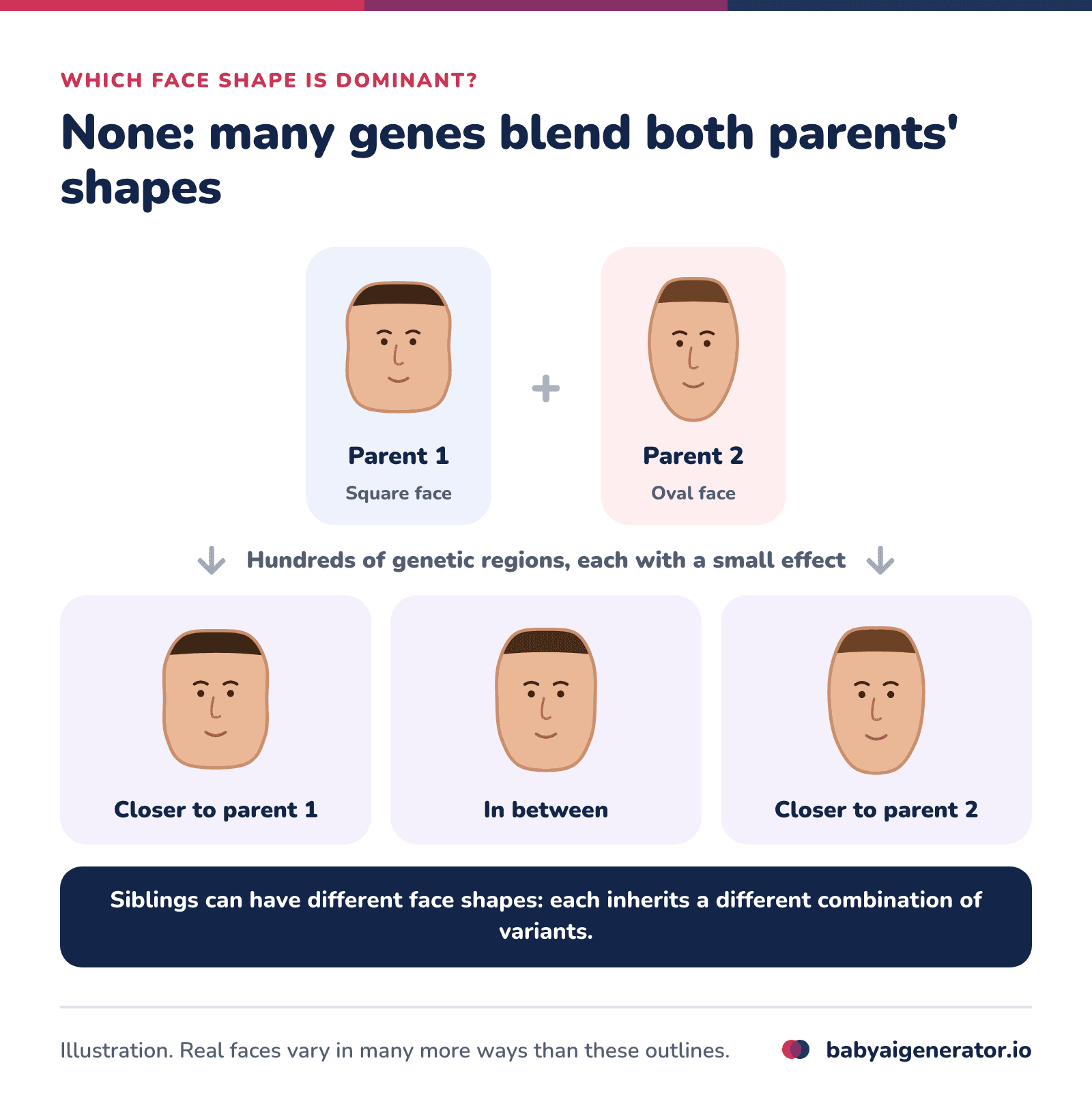 Infographic: a parent with a square face and a parent with an oval face do not pass on one dominant shape; their many face-shape variants blend, so their children can have different face shapes