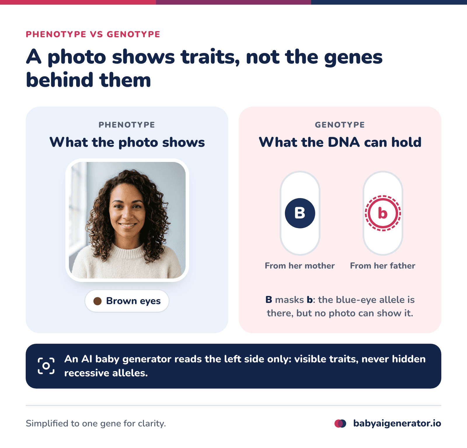 Infographic: a photo shows the phenotype (brown eyes) while the genotype Bb hides a blue-eye allele that an AI baby generator cannot see