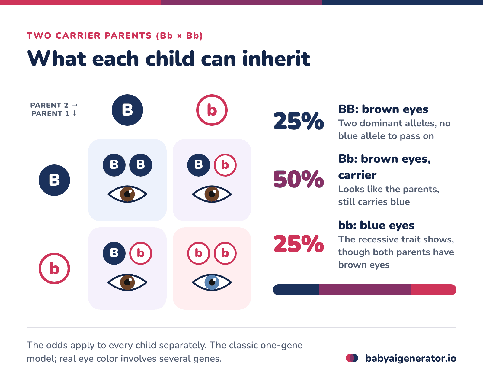 Punnett square for two Bb carrier parents: 25% BB brown eyes, 50% Bb brown-eyed carriers, 25% bb blue eyes