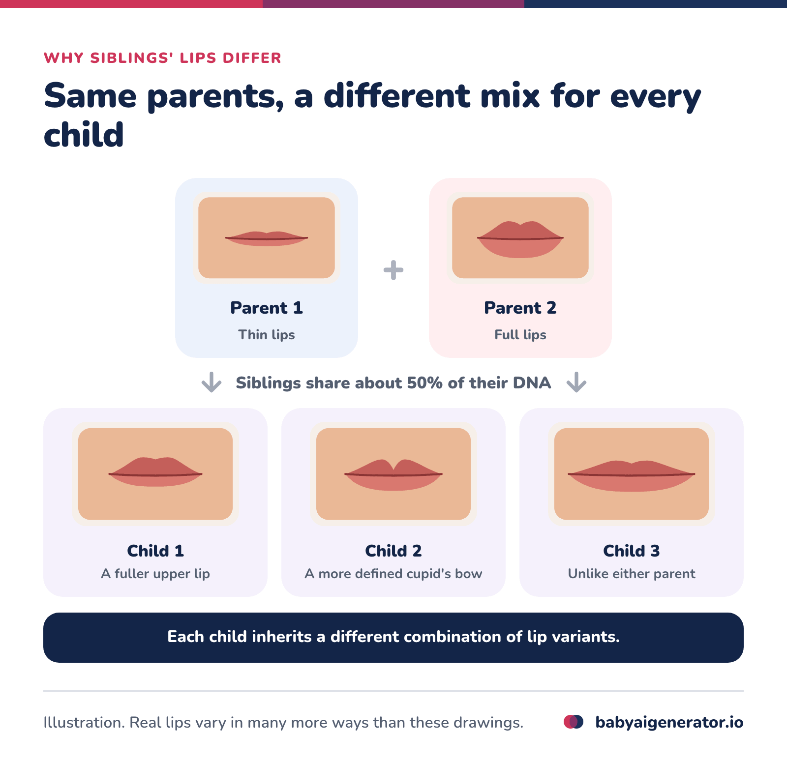 Infographic: two parents with different lips can have children whose lips differ from each other, one with a fuller upper lip, one with a more defined cupid's bow and one unlike either parent, because each child gets a different mix of lip variants