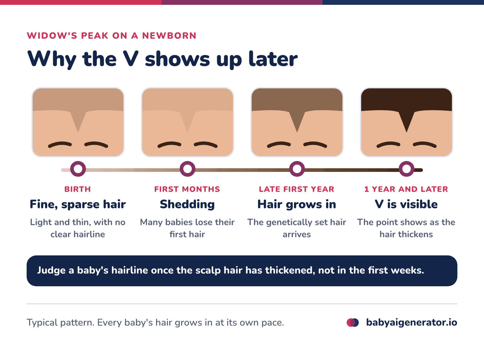 Infographic: a newborn's fine, sparse hair hides the hairline, many babies shed that first hair in the first months, and a widow's peak becomes easier to see as the scalp hair thickens over the first year or more